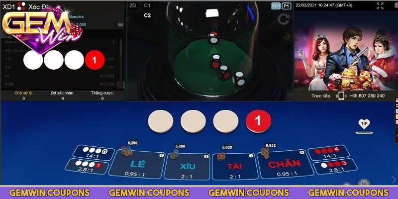 Kết quả hiển thị thiếu phiên đã đặt cược